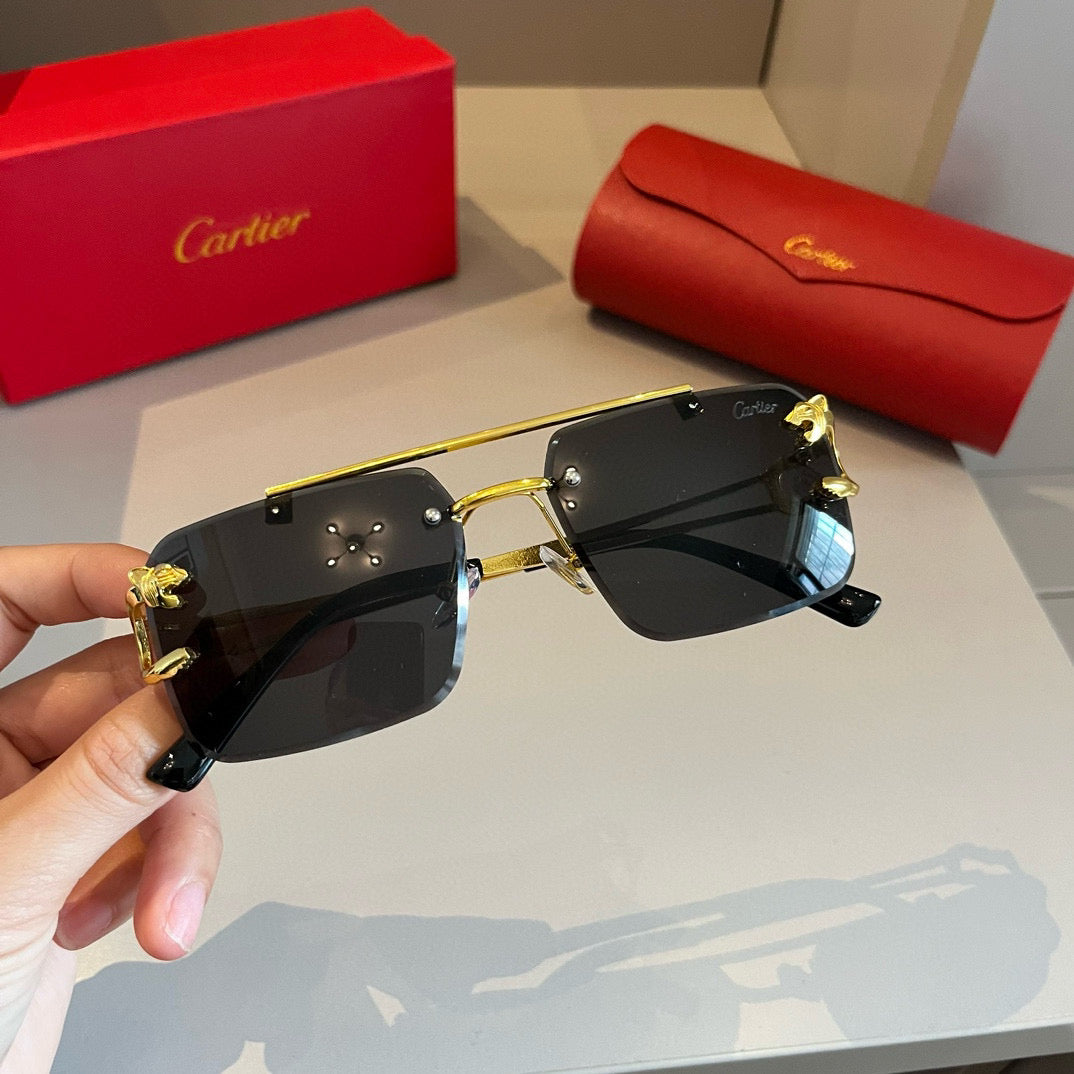 Ca 25 Metal Frames Sunglasses