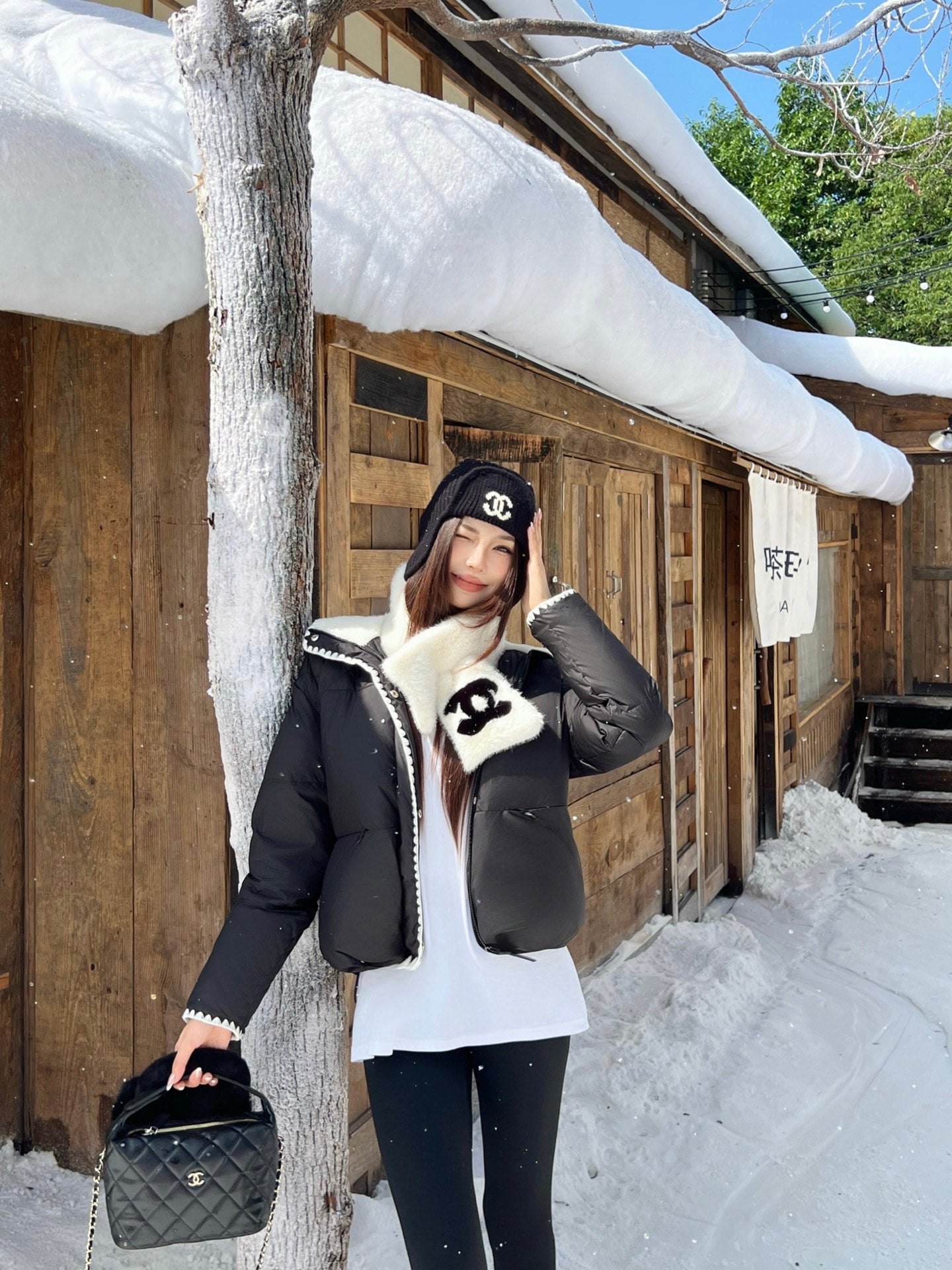 C 25 New Stand Collar Down Jacket (White/Black)