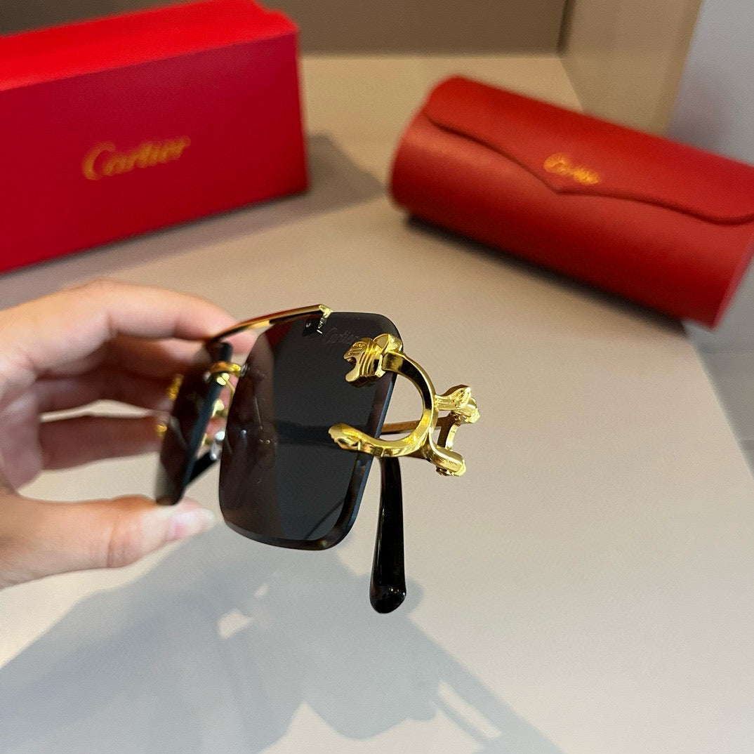 Ca 25 Metal Frames Sunglasses
