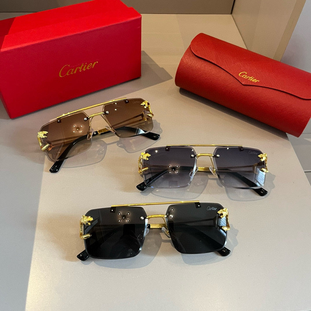Ca 25 Metal Frames Sunglasses