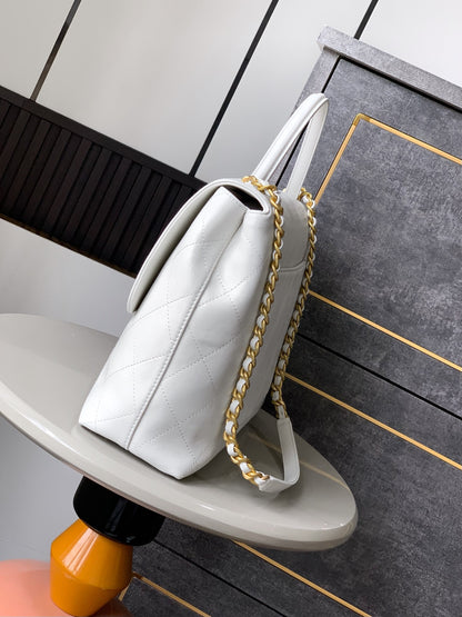 C 25S Platinum Briefcase Flap Bag