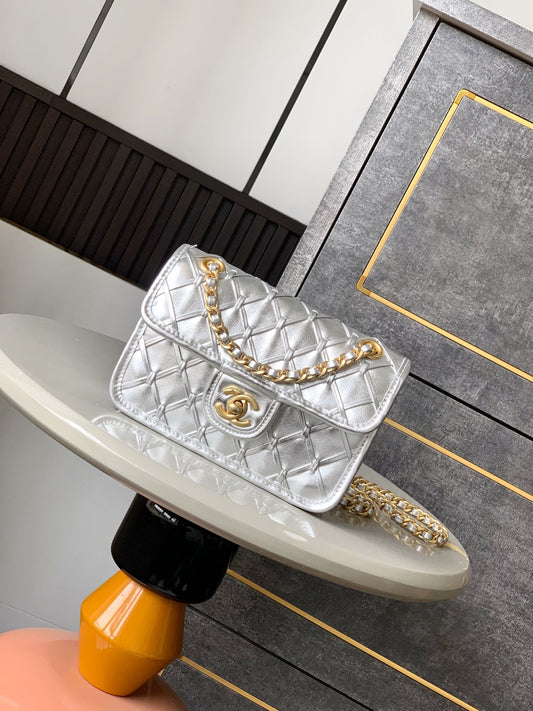 C 25 Early spring runway collection Silver bag