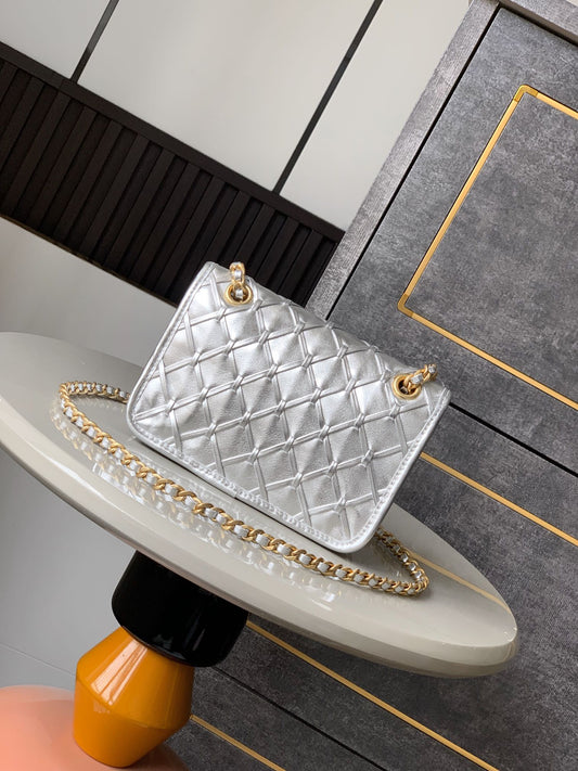 C 25 Early spring runway collection Silver bag