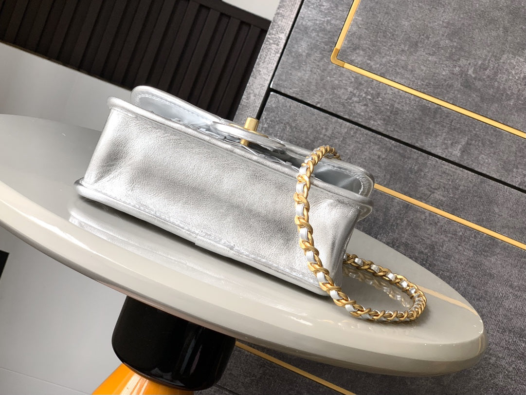 C 25 Early spring runway collection Silver bag