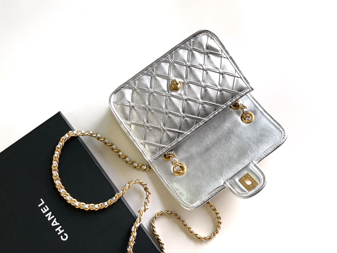 C 25 Early spring runway collection Silver bag