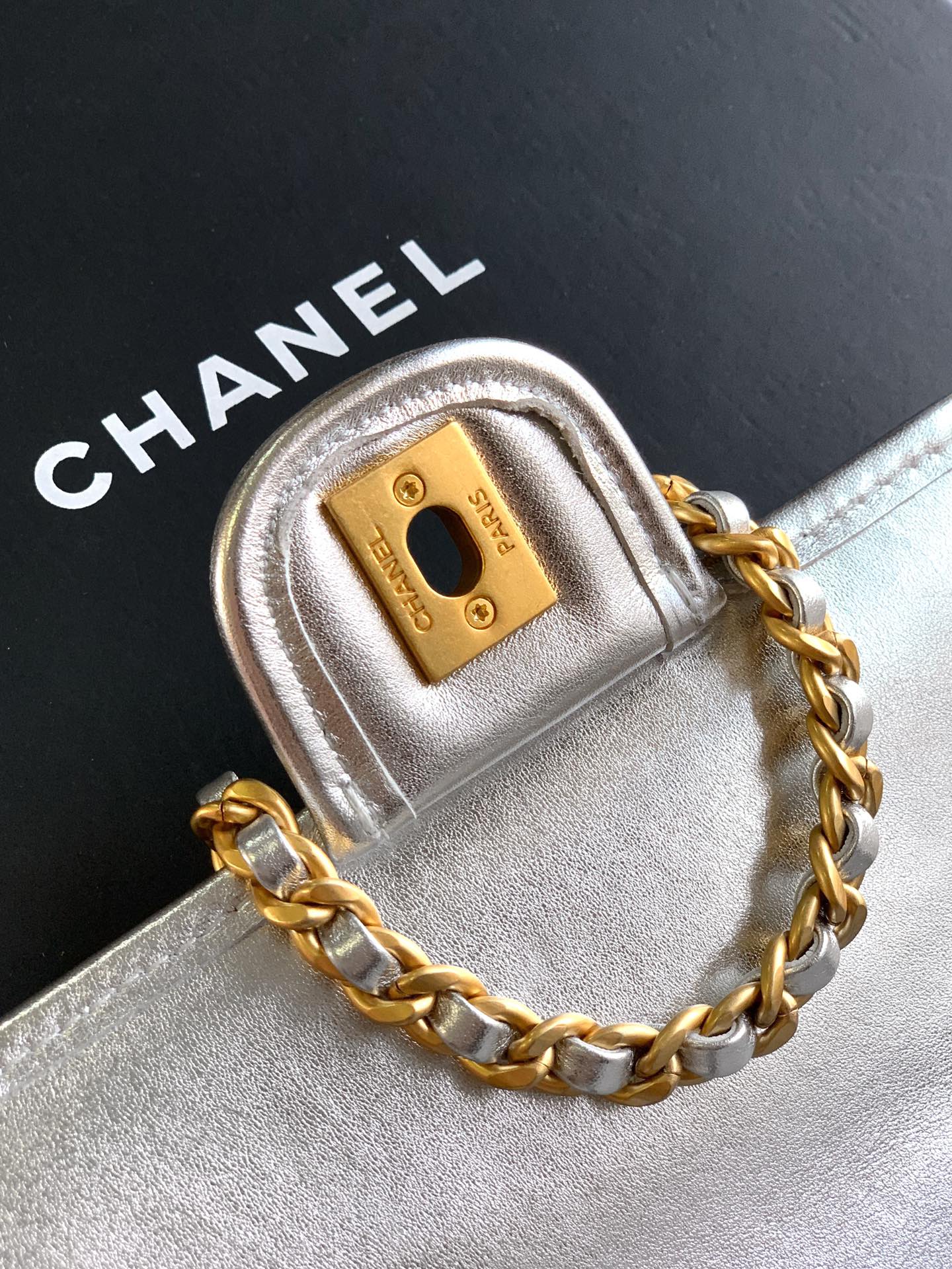 C 25 Early spring runway collection Silver bag
