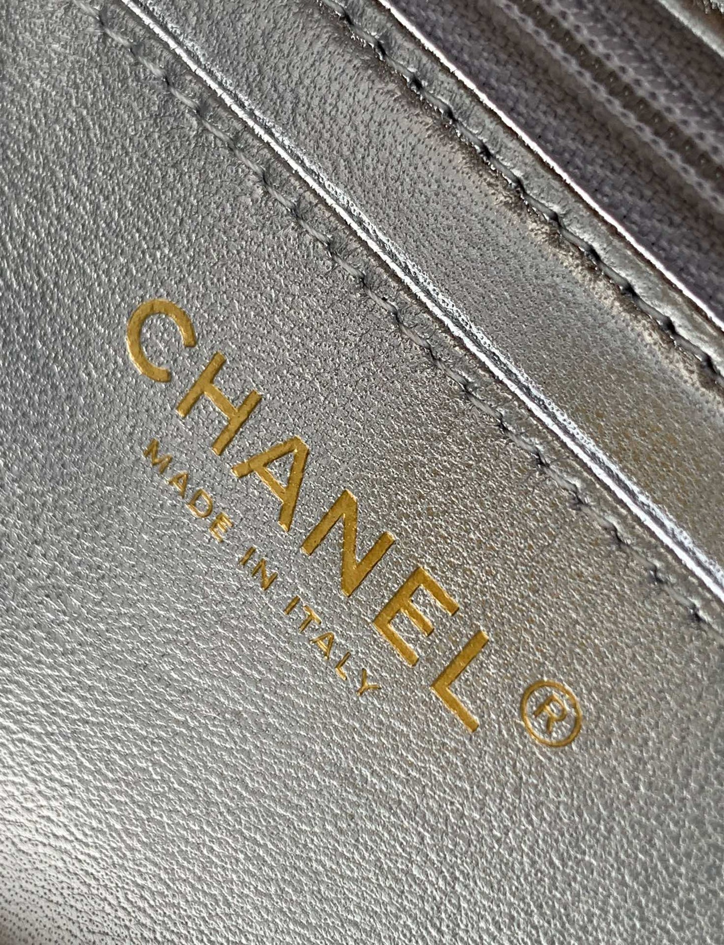 C 25 Early spring runway collection Silver bag