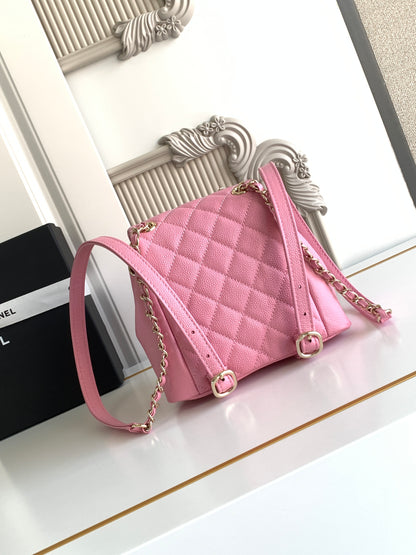 C 23 spring/summer super hot lychee leather duma double backpacks