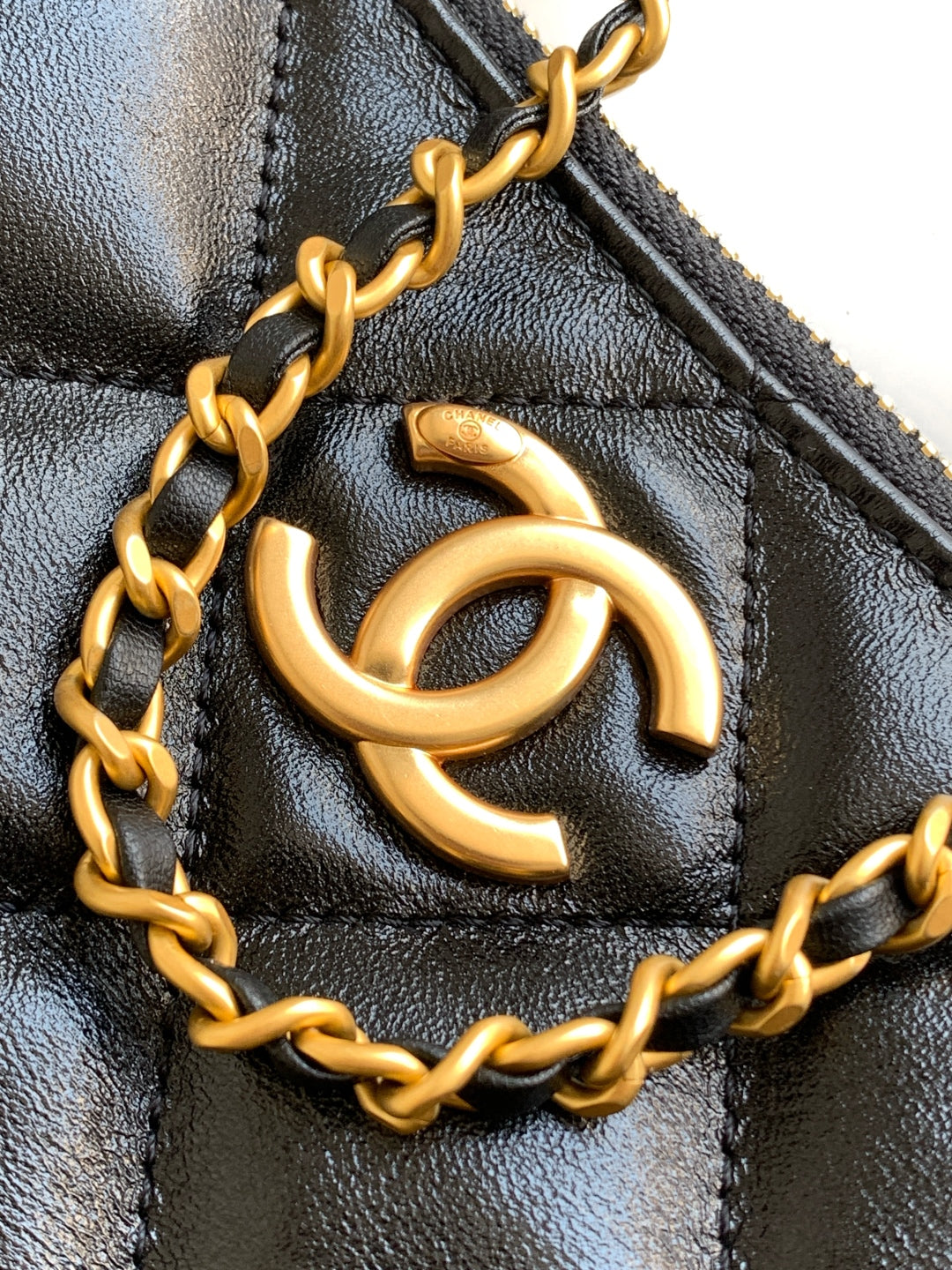 C 25 Dumpling bag hobo shoulder bag