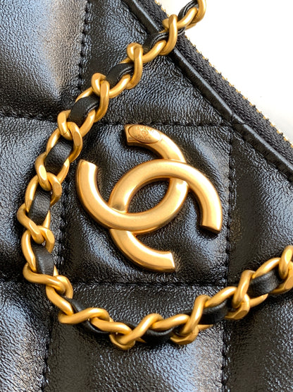 C 25 Dumpling bag hobo shoulder bag