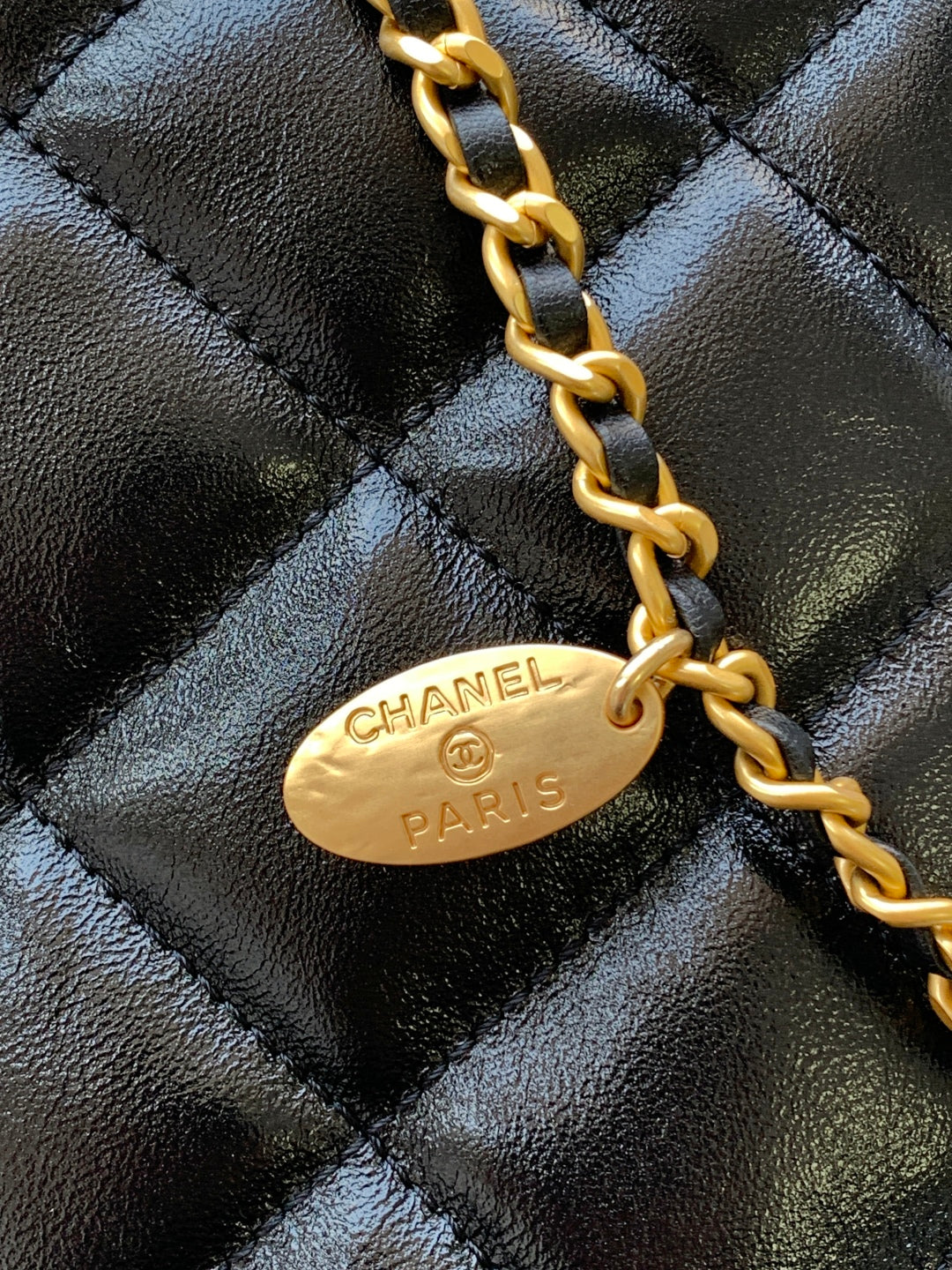 C 25 Dumpling bag hobo shoulder bag
