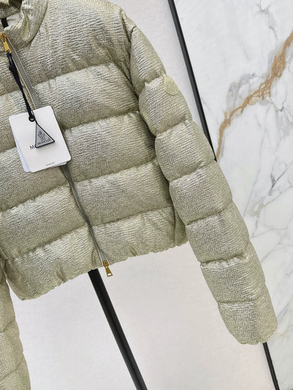 MON 25fw Silver stand collar down jacket