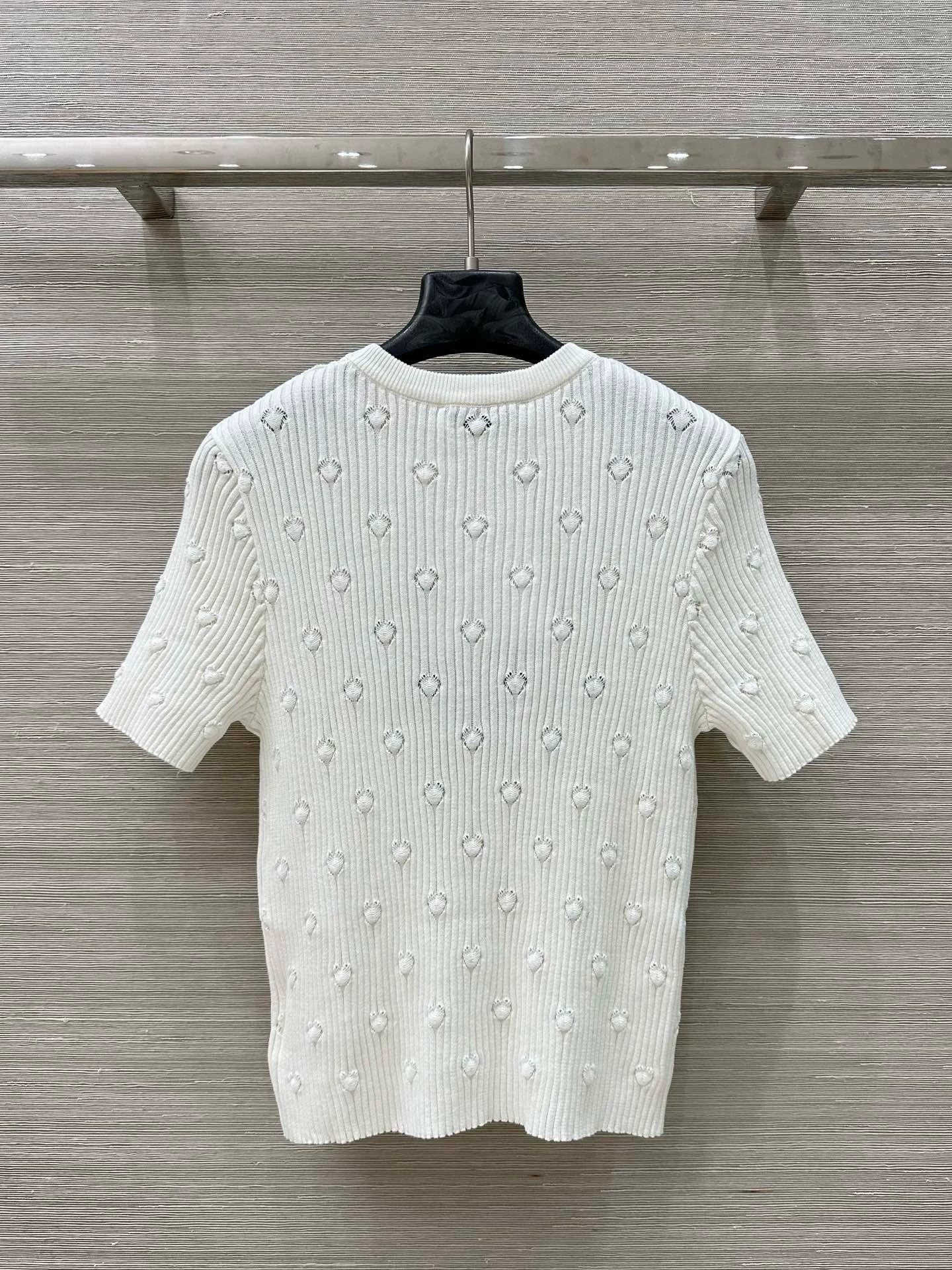D 25 Early Spring Resort New Embroidered Knit Short Sleeve