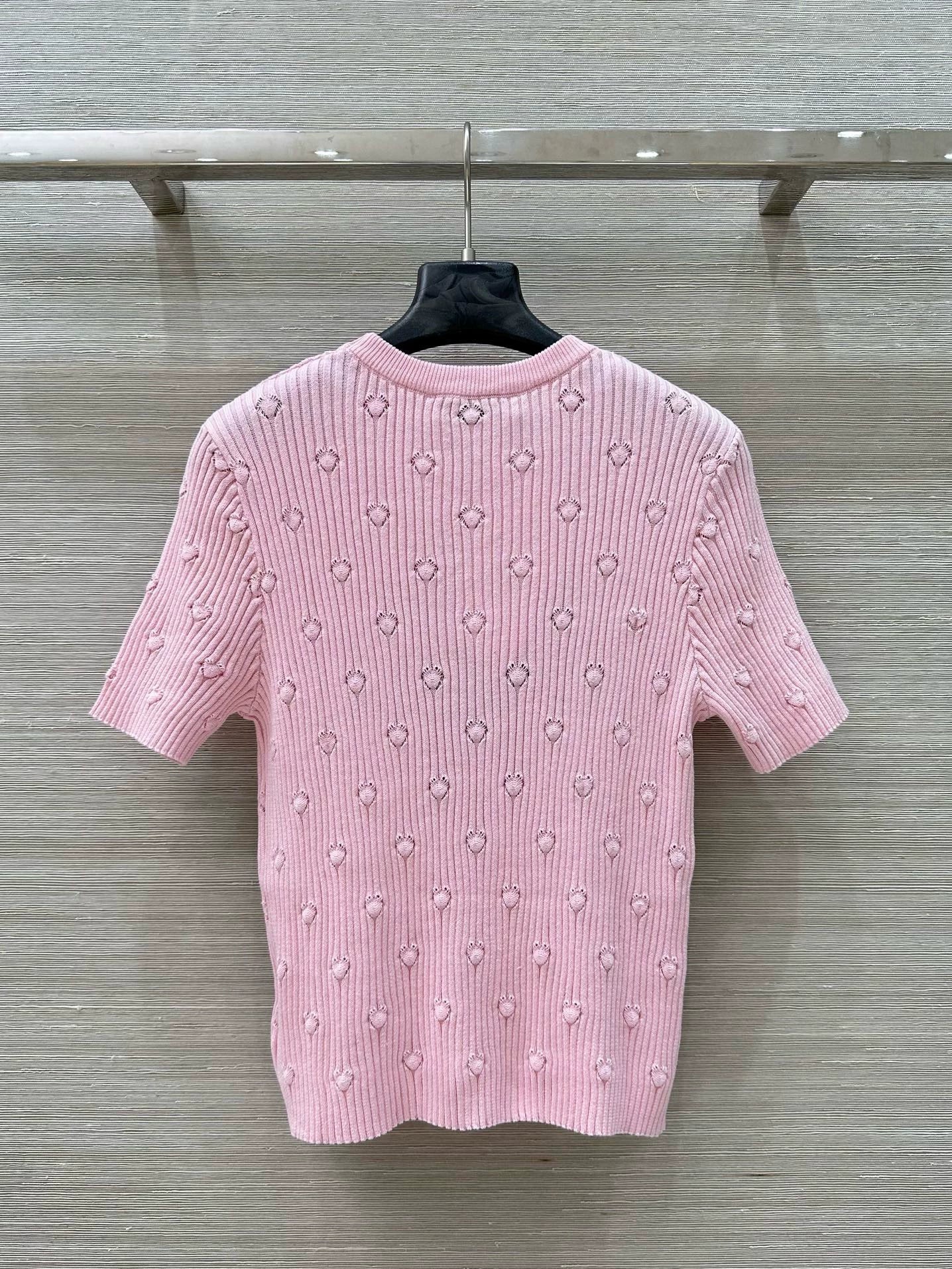 D 25 Early Spring Resort New Embroidered Knit Short Sleeve