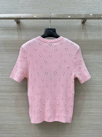 D 25 Early Spring Resort New Embroidered Knit Short Sleeve