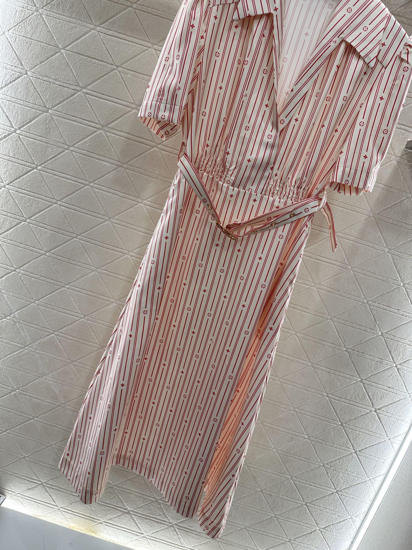 L 25 Printed Belted Dress
