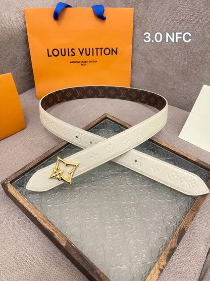 L 25 3.0cm Reversible Belt