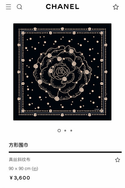 C 25 Twill Silk Scarf
