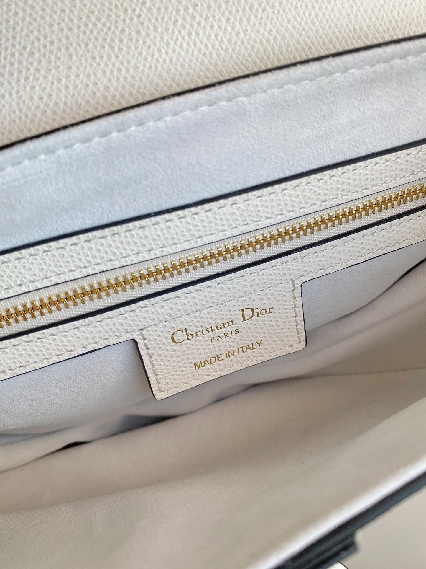 D 25 Palm print white large 𝗦𝗮𝗱𝗱𝗹𝗲 Classic saddle bag (with shoulder strap)