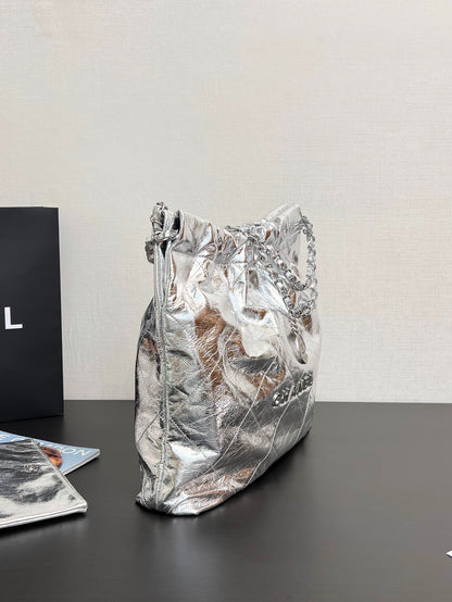 C 22 Organizer Bag Classic Chain Silver Bag
