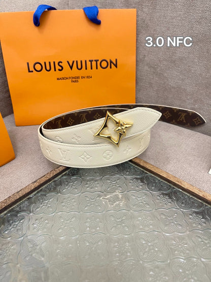 L 25 3.0cm Reversible Belt