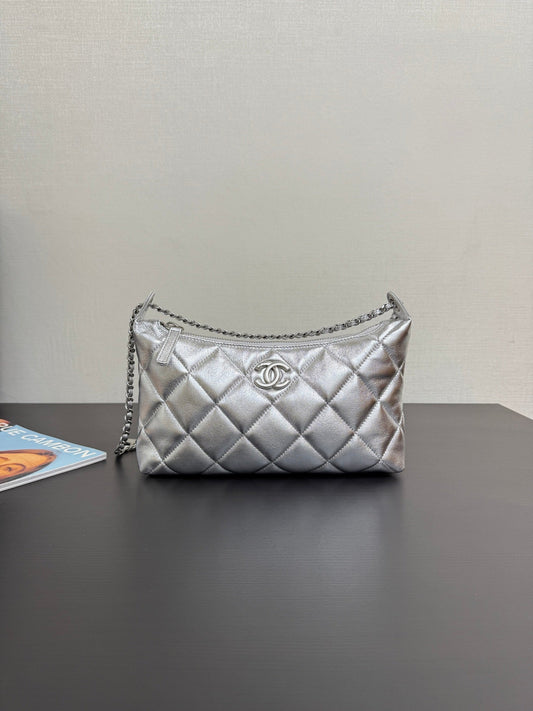 C*2025 New Silver Bag