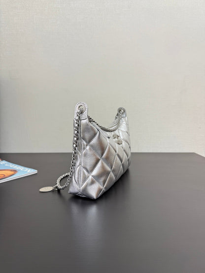 C*2025 New Silver Bag