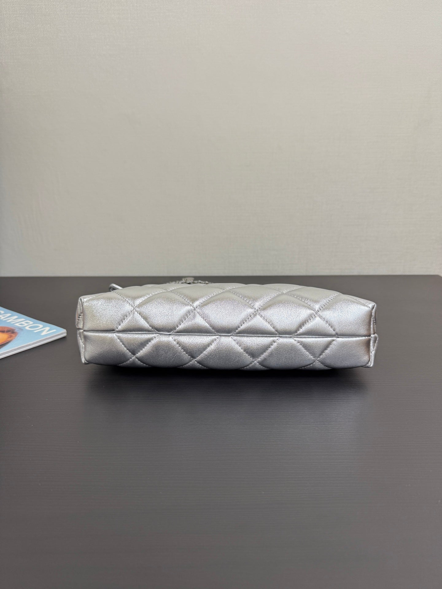 C*2025 New Silver Bag