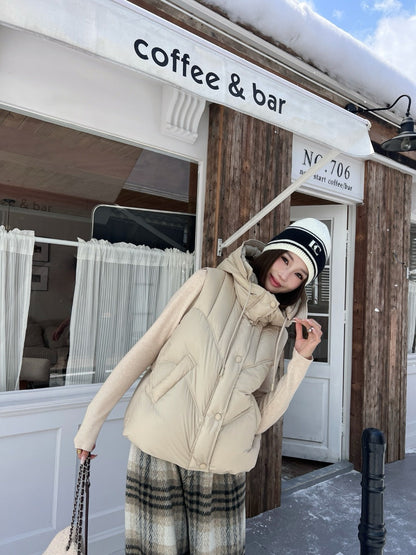 Pra 25fw down vest