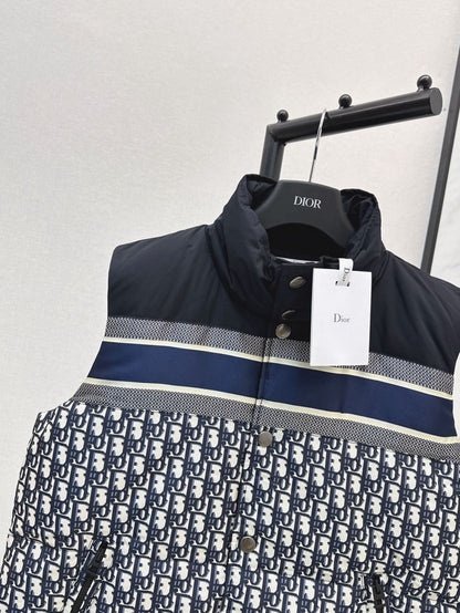 D 25fw down vest