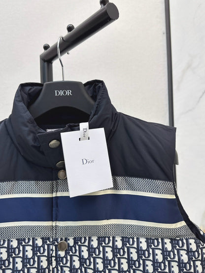 D 25fw down vest