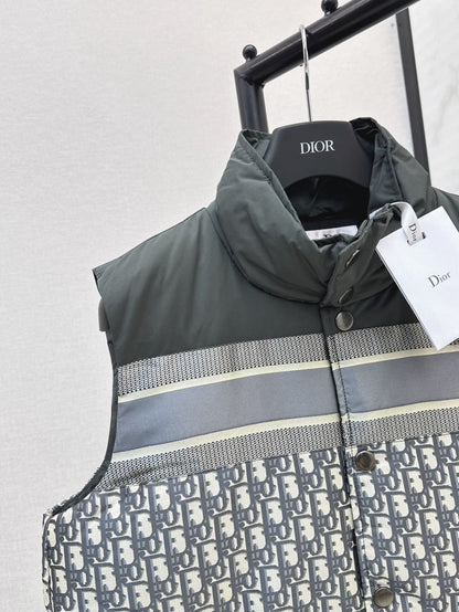 D 25fw down vest