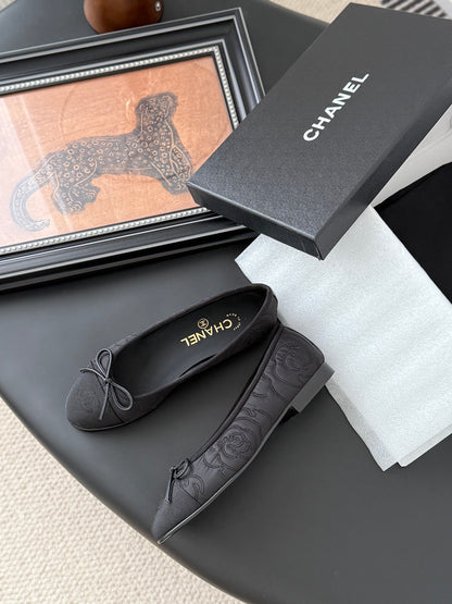 C 25 ballet shoes