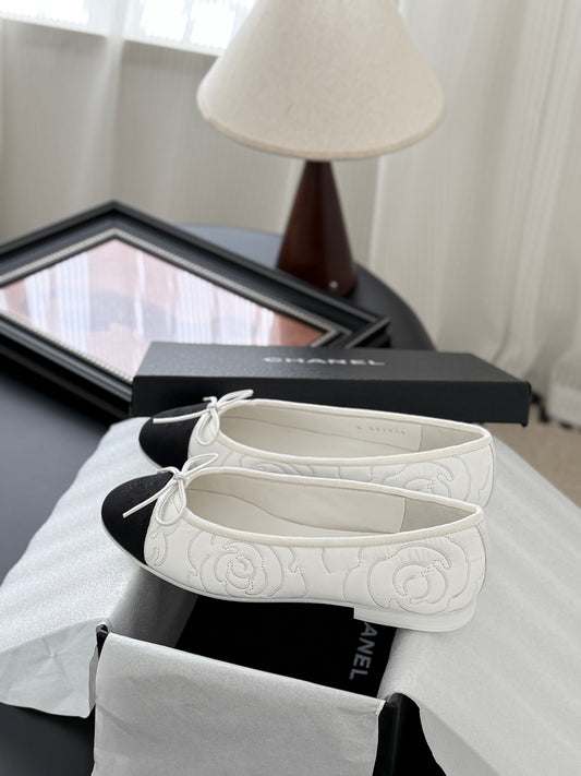 C 25 ballet shoes